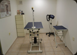 Stůl na stříhání psů