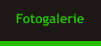 Fotogalerie